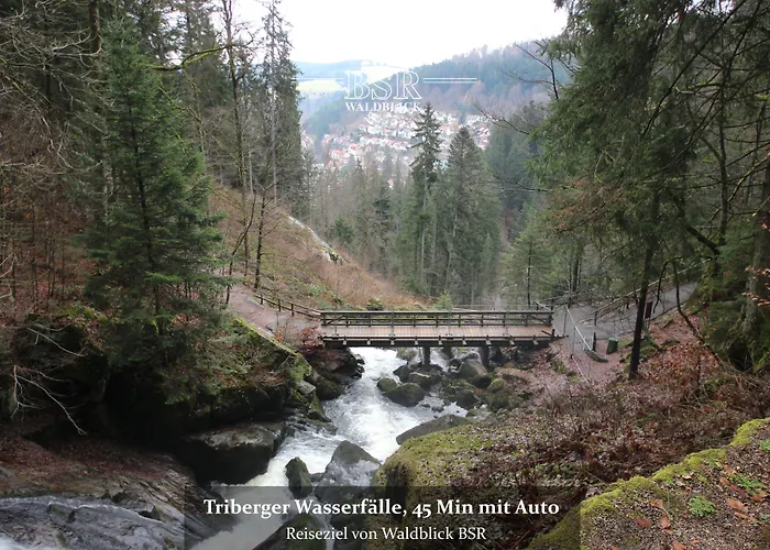Hotel Waldblick Bsr Ihr Zwischenstopp Im Schwarzwald