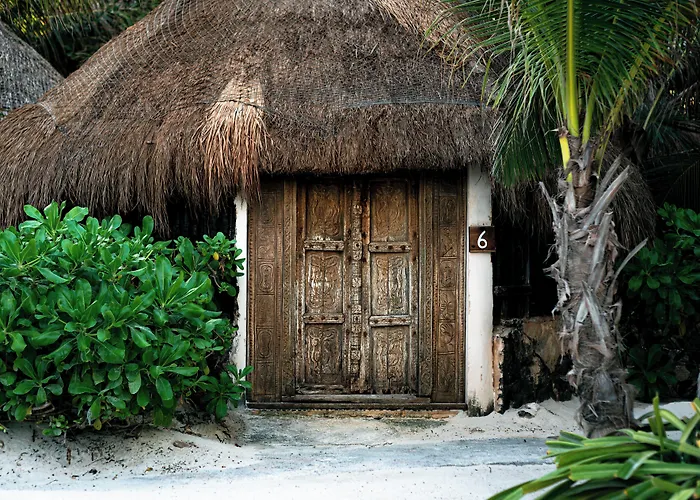 Hotel Diamante K - Inside Tulum National Park