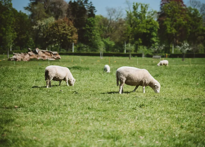 Buitenplaats Vaeshartelt Maastricht