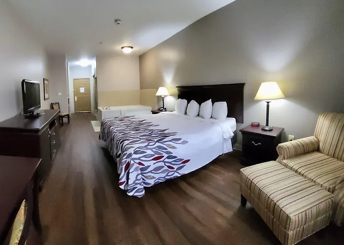 Red Roof Inn & Suites Midland