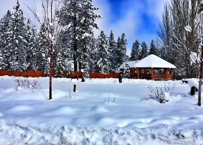 Bear Creek Resort