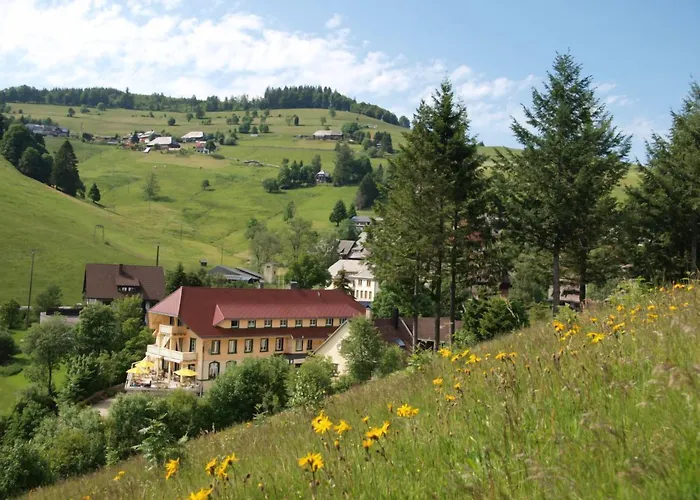 Grüner Baum Naturparkhotel&Schwarzwald-Restaurant