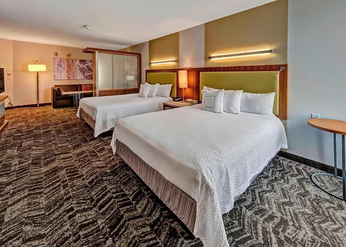 Springhill Suites By Marriott Oklahoma City Moore