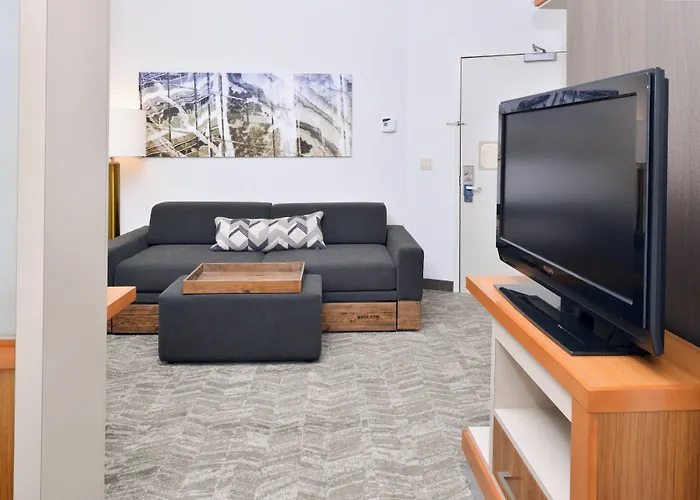 Springhill Suites Ashburn Dulles North