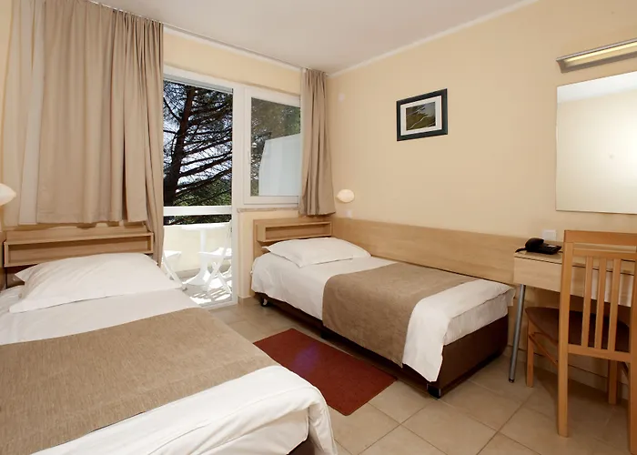 Hotel Delfin Plava Laguna