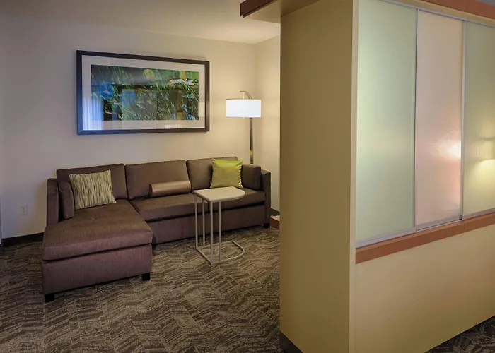 Springhill Suites By Marriott Albany Latham-Colonie