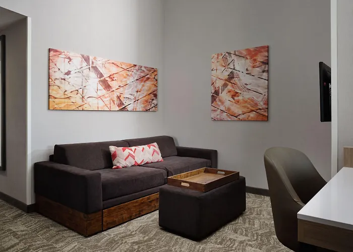 Springhill Suites Minneapolis-St. Paul Airport/Mall Of America
