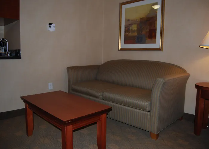 Holiday Inn Express Hotel & Suites Auburn Hills By Ihg
