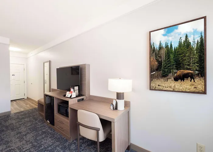 Surestay Plus Hotel By Best Western Billings