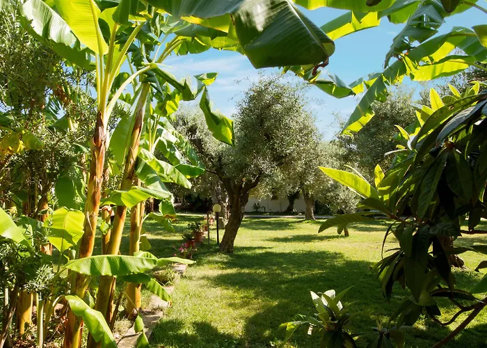 Tonicello Hotel Resort&SPA
