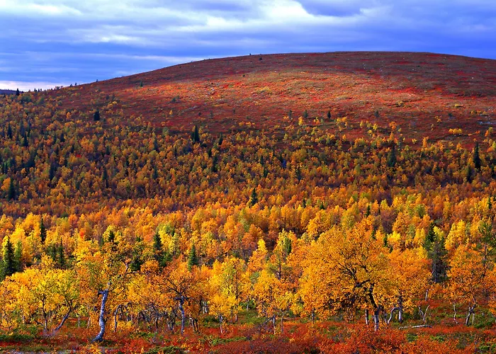 Lapland Hotels Aekaeshotelli