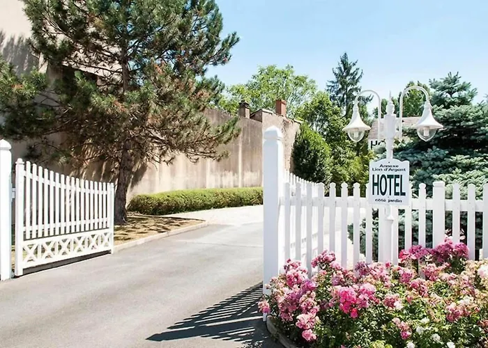 Logis Hotel Restaurant Du Lion D'Argent Et Des Tanneries