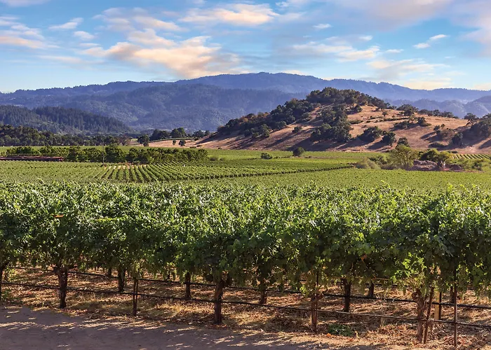 Vino Bello Resort (Adults Only)