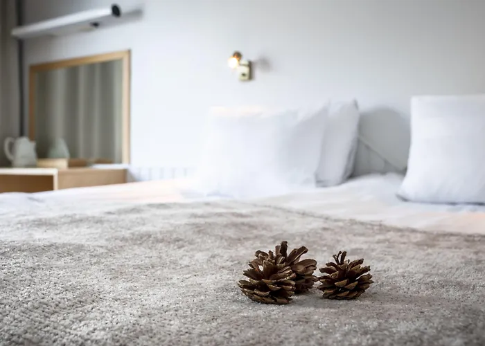 Lapland Hotels Bear'S Lodge