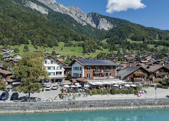 Hotel Brienzerburli