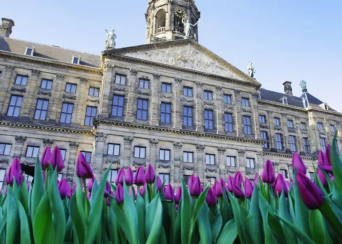 The Highlander Amsterdam