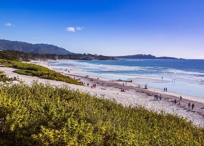 Tradewinds Carmel