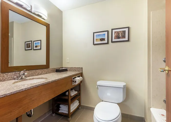 Comfort Inn & Suites Rapid City South - Mt Rushmore Gateway