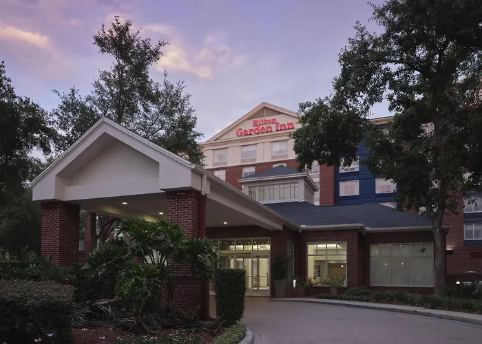 Hilton Garden Inn Tampa East Brandon Mango