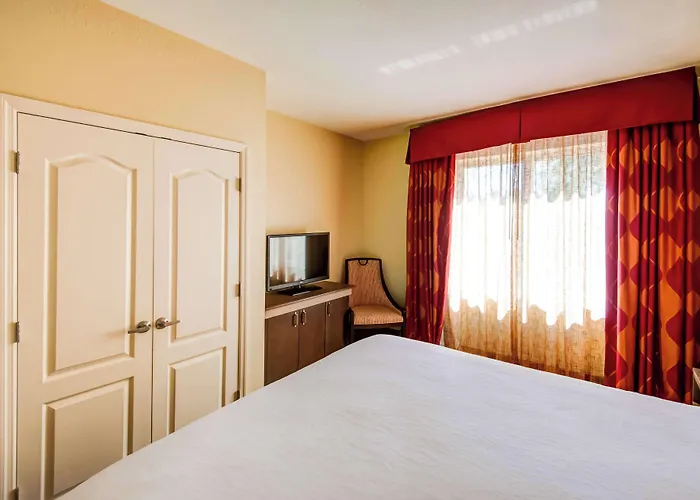 Hilton Garden Inn Tampa Ybor Historic District