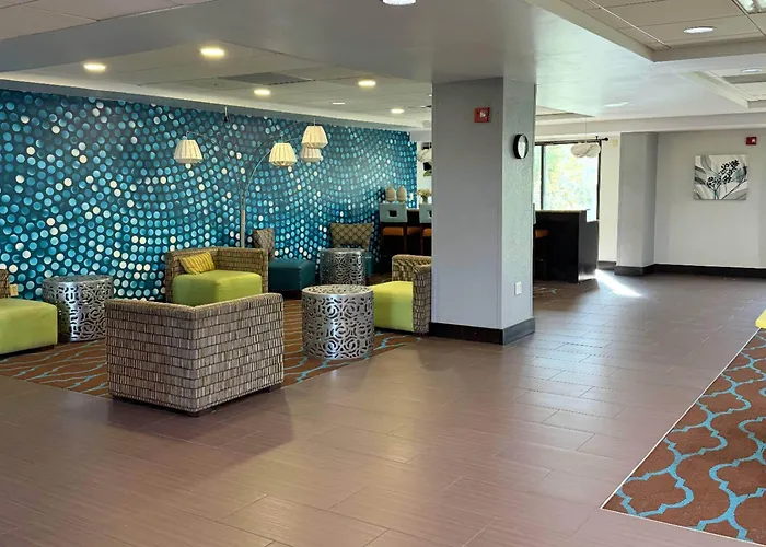 Comfort Inn & Suites Tampa North I-75