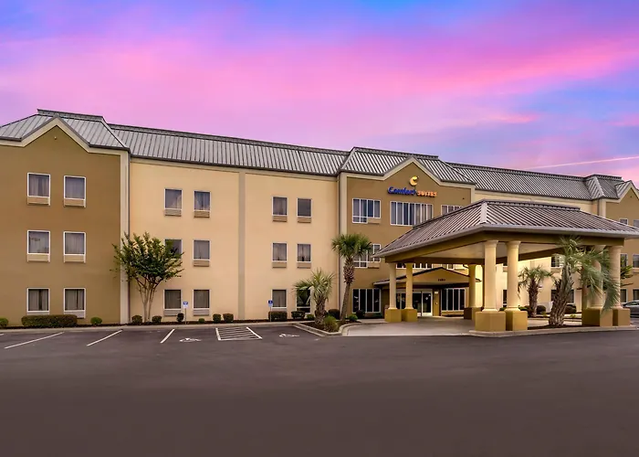 Comfort Suites At The University