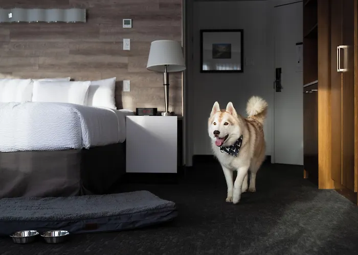 Elk + Avenue Hotel