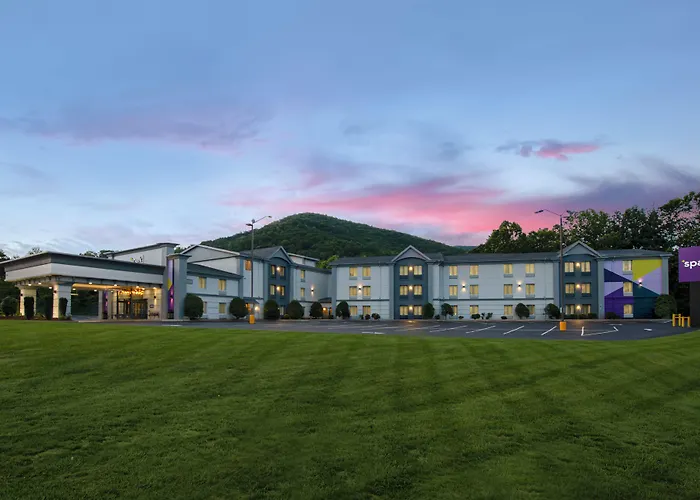 Comfort Inn Asheville East-Blue Ridge Pkwy Access