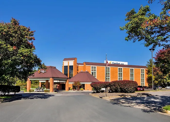 Comfort Inn Lexington Virginia Horse Center
