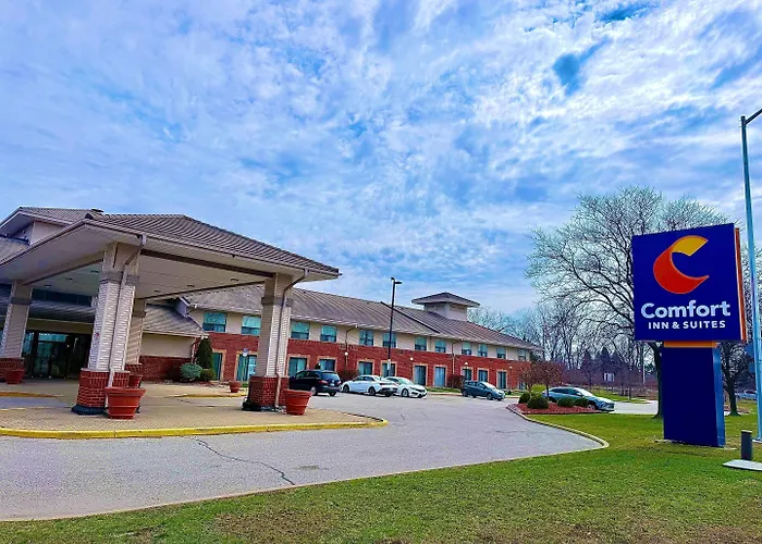 Comfort Inn & Suites Ambassador Bridge