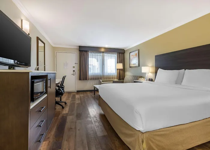 Best Western Plus Orange County Airport North