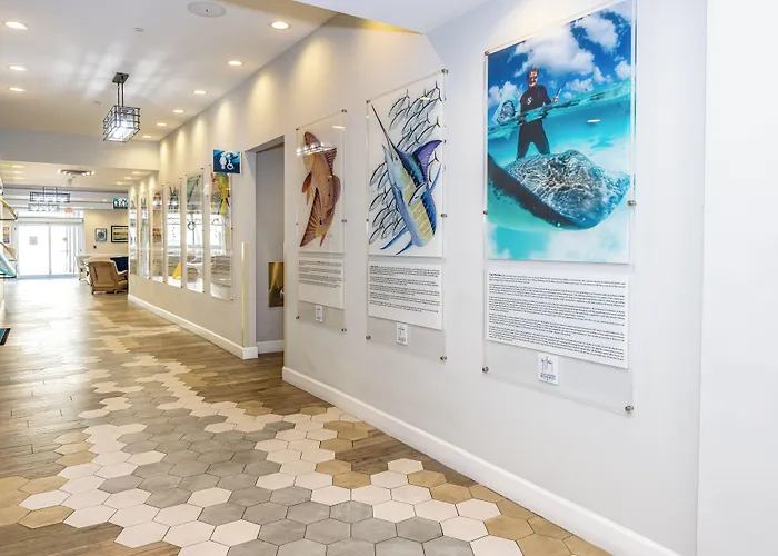 Guy Harvey Resort On Saint Augustine Beach