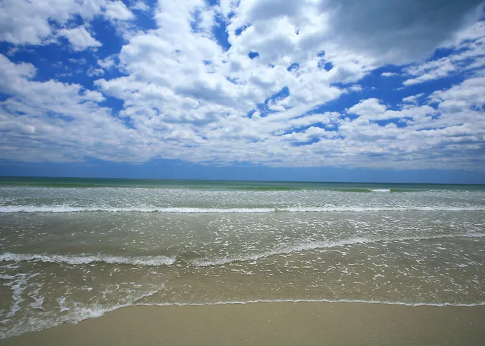 Guy Harvey Resort On Saint Augustine Beach