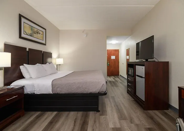 Quality Inn & Suites Lexington South