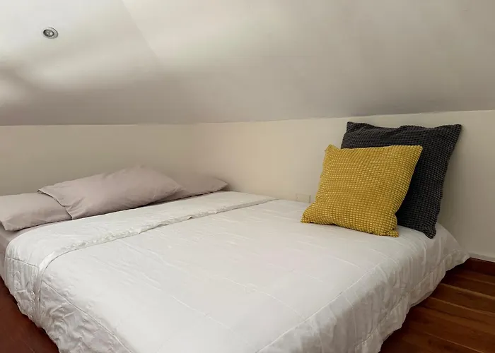 La Casa De Pucha Surf History & Tropical Stay
