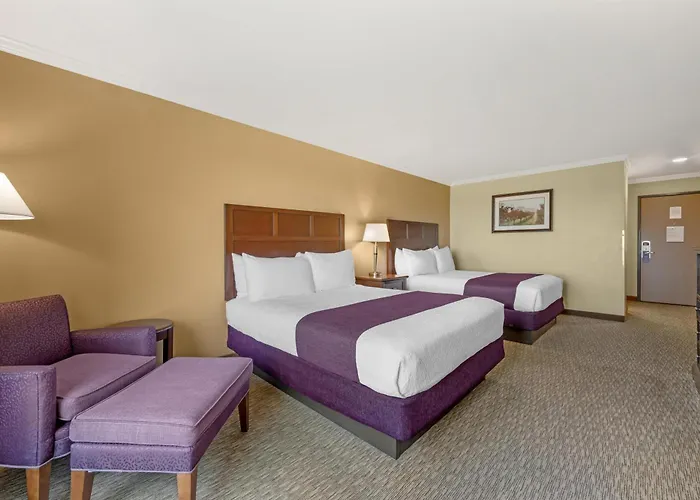 Best Western Plus Grapevine Inn