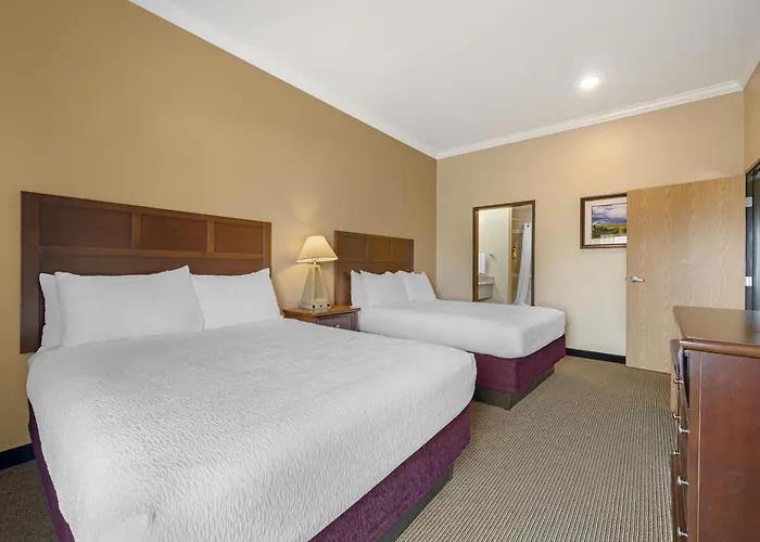 Best Western Plus Grapevine Inn