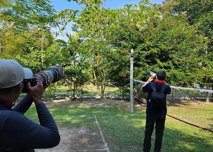 Kodom Bari Retreat, Kaziranga