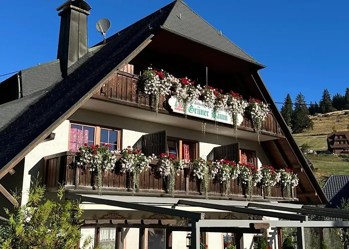 Hotel&Restaurant Grüner Baum - Die Grüne Oase Am Feldberg