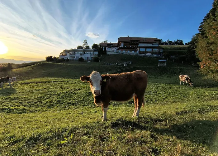 Hotel Amaten Brunico