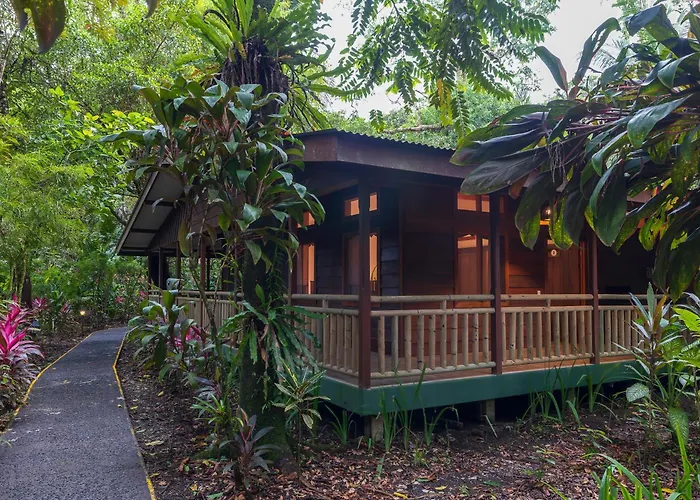 Pachira Lodge