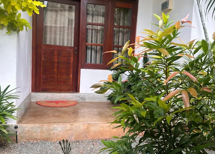 The Calm Palm