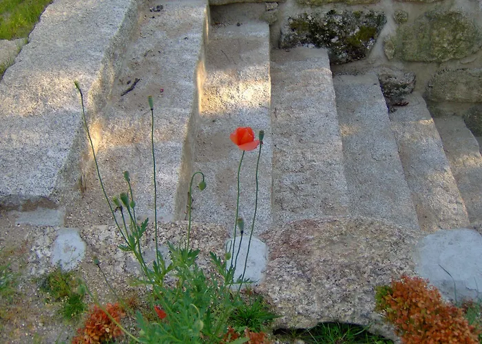 Paradise Is Real At Vale Martinho Rosa