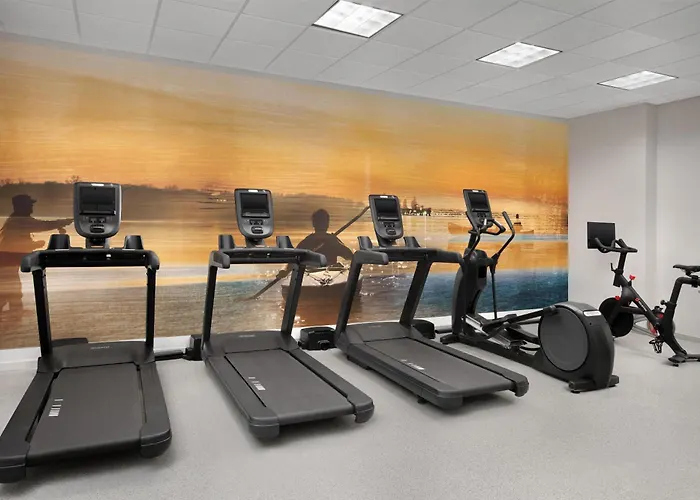 Hilton Garden Inn Dallas Lewisville