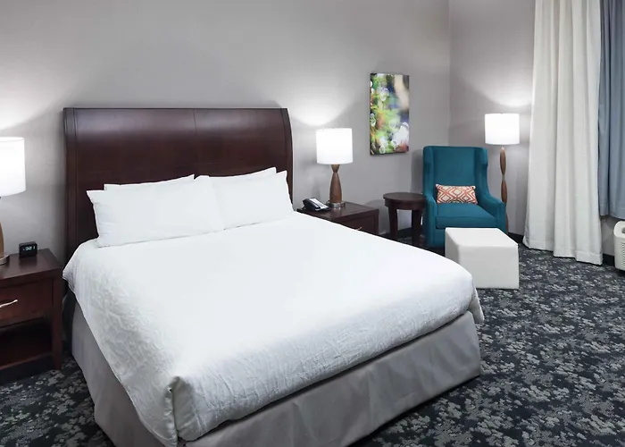 Hilton Garden Inn Detroit/Novi