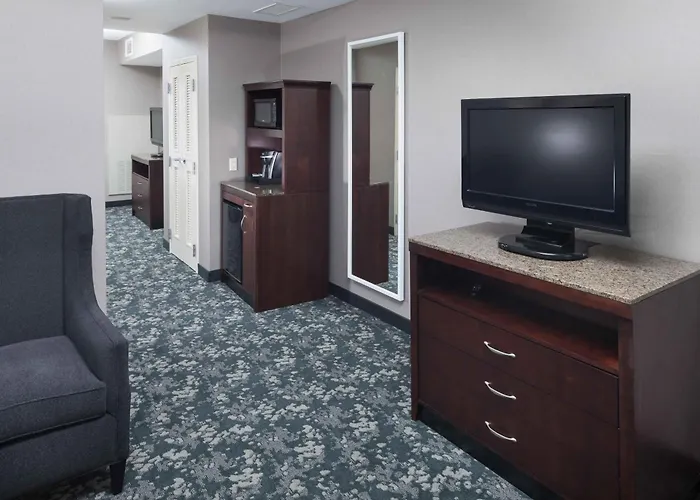 Hilton Garden Inn Detroit/Novi