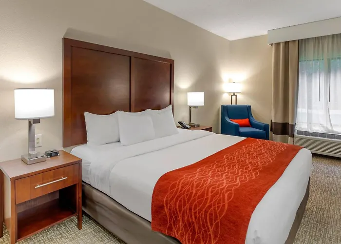 Comfort Inn & Suites Canton Riverstone Area