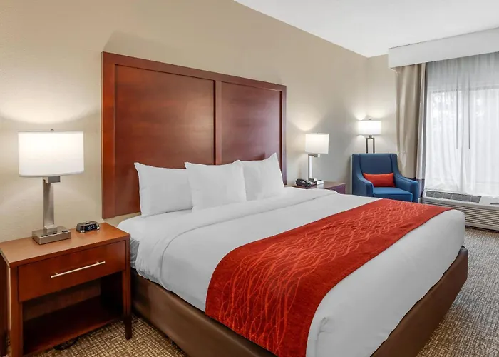 Comfort Inn & Suites Canton Riverstone Area
