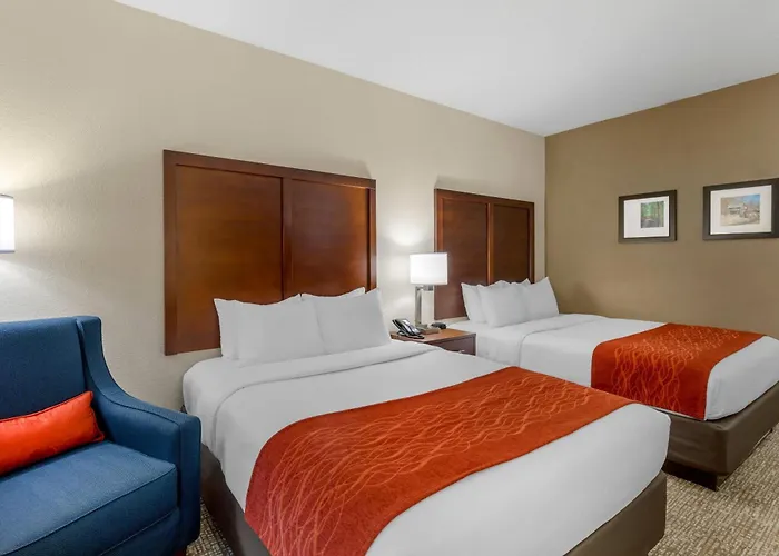 Comfort Inn & Suites Canton Riverstone Area