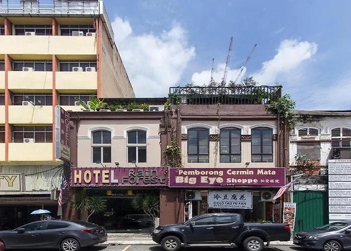 Rain Forest Hotel